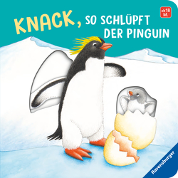 Knack, so schlüpft der Pinguin von Jelenkovich,  Barbara, Nahrgang,  Frauke