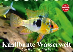 Knallbunte Wasserwelt. Die Welt der Fische (Wandkalender 2018 DIN A2 quer) von Stanzer,  Elisabeth