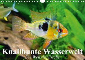 Knallbunte Wasserwelt. Die Welt der Fische (Wandkalender 2018 DIN A4 quer) von Stanzer,  Elisabeth