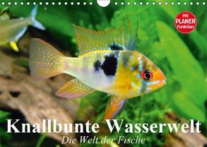 Knallbunte Wasserwelt. Die Welt der Fische (Wandkalender 2019 DIN A4 quer) von Stanzer,  Elisabeth