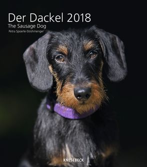 Knesebeck Der Dackel 2018 von Spoerle-Strohmenger,  Petra