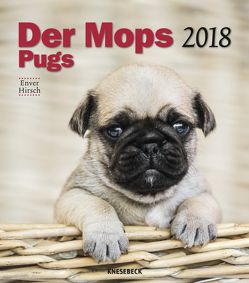Der Mopskalender 2018 Knesebeck von Hirsch,  Enver
