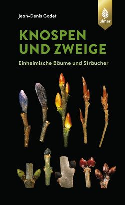 Knospen und Zweige von Godet,  Jean-Denis