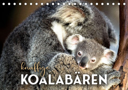Knuffige Koalabären (Tischkalender 2023 DIN A5 quer) von SF