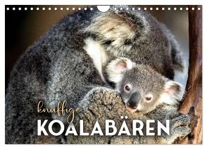 Knuffige Koalabären (Wandkalender 2024 DIN A4 quer), CALVENDO Monatskalender von SF,  SF
