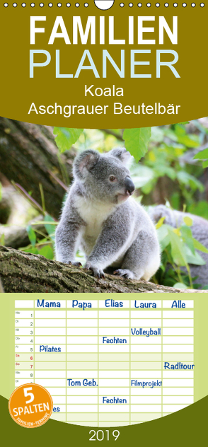 Koala – Aschgrauer Beutelbär – Tierische Impressionen – Familienplaner hoch (Wandkalender 2019 , 21 cm x 45 cm, hoch) von Lehmann (Hrsg.),  Steffani