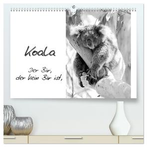 Koala Ein Bär, der kein Bär ist (hochwertiger Premium Wandkalender 2024 DIN A2 quer), Kunstdruck in Hochglanz von Drafz,  Silvia