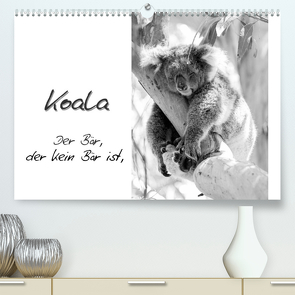 Koala Ein Bär, der kein Bär ist (Premium, hochwertiger DIN A2 Wandkalender 2022, Kunstdruck in Hochglanz) von Drafz,  Silvia