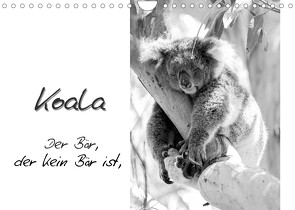 Koala Ein Bär, der kein Bär ist (Wandkalender 2022 DIN A4 quer) von Drafz,  Silvia