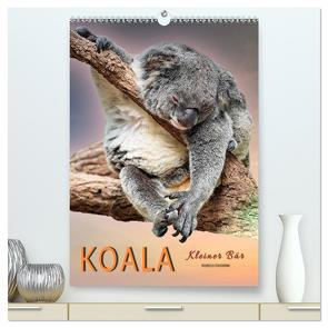 Koala, kleiner Bär (hochwertiger Premium Wandkalender 2024 DIN A2 hoch), Kunstdruck in Hochglanz von Roder,  Peter