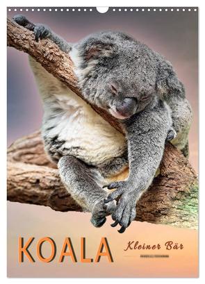 Koala, kleiner Bär (Wandkalender 2024 DIN A3 hoch), CALVENDO Monatskalender von Roder,  Peter