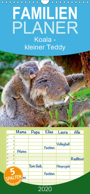 Koala – kleiner Teddy – Familienplaner hoch (Wandkalender 2020 , 21 cm x 45 cm, hoch) von Roder,  Peter