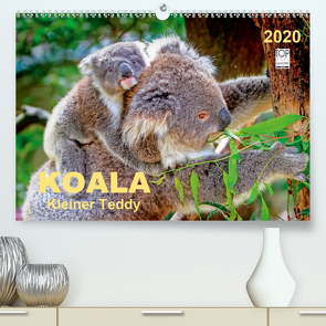 Koala – kleiner Teddy (Premium, hochwertiger DIN A2 Wandkalender 2020, Kunstdruck in Hochglanz) von Roder,  Peter
