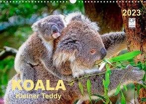 Koala – kleiner Teddy (Wandkalender 2023 DIN A3 quer) von Roder,  Peter