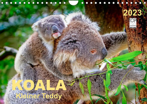 Koala – kleiner Teddy (Wandkalender 2023 DIN A4 quer) von Roder,  Peter