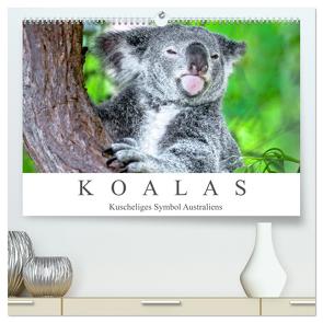 Koalas – Kuscheliges Symbol Australiens (hochwertiger Premium Wandkalender 2024 DIN A2 quer), Kunstdruck in Hochglanz von Meyer,  Dieter
