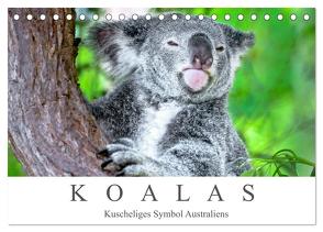 Koalas – Kuscheliges Symbol Australiens (Tischkalender 2024 DIN A5 quer), CALVENDO Monatskalender von Meyer,  Dieter