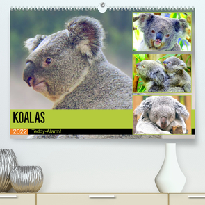 Koalas. Teddy-Alarm! (Premium, hochwertiger DIN A2 Wandkalender 2022, Kunstdruck in Hochglanz) von Hurley,  Rose