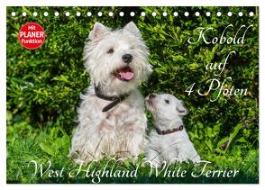 Kobold auf 4 Pfoten – West Highland White Terrier (Tischkalender 2024 DIN A5 quer), CALVENDO Monatskalender von Starick,  Sigrid