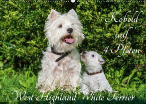 Kobold auf 4 Pfoten – West Highland White Terrier (Wandkalender 2019 DIN A2 quer) von Starick,  Sigrid