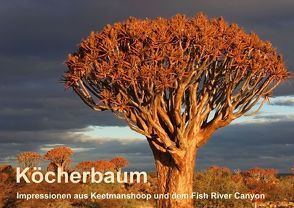 Köcherbaum – Quiver tree – Kokerboom (Posterbuch DIN A3 quer) von Wolf,  Gerald
