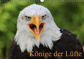 Könige der Lüfte (Wandkalender 2018 DIN A3 quer) von Lindert-Rottke,  Antje