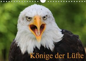 Könige der Lüfte (Wandkalender 2018 DIN A4 quer) von Lindert-Rottke,  Antje