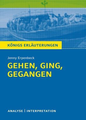 Königs Erläuterungen: Gehen, ging, gegangen von Jenny Erpenbeck. von Erpenbeck,  Jenny, Hasenbach,  Sabine