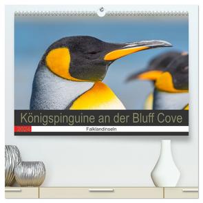 Königspinguine an der Bluff Cove (hochwertiger Premium Wandkalender 2024 DIN A2 quer), Kunstdruck in Hochglanz von W. Saul,  Norbert