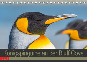 Königspinguine an der Bluff Cove (Tischkalender 2023 DIN A5 quer) von W. Saul,  Norbert