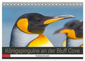 Königspinguine an der Bluff Cove (Tischkalender 2024 DIN A5 quer), CALVENDO Monatskalender von W. Saul,  Norbert