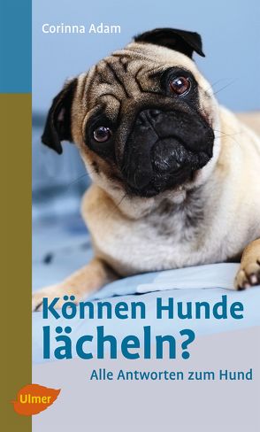 Können Hunde lächeln? von Adam,  Corinna