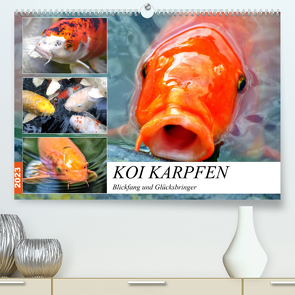 Koi Karpfen. Blickfang und Glücksbringer (Premium, hochwertiger DIN A2 Wandkalender 2023, Kunstdruck in Hochglanz) von Hurley,  Rose