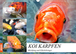 Koi Karpfen. Blickfang und Glücksbringer (Wandkalender 2023 DIN A3 quer) von Hurley,  Rose