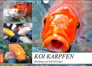 Koi Karpfen. Blickfang und Glücksbringer (Wandkalender 2023 DIN A4 quer) von Hurley,  Rose