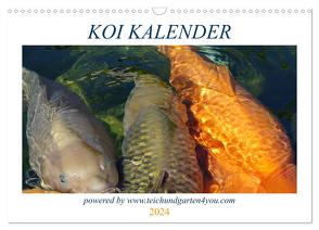 Koikichi Kalender 2024 (Wandkalender 2024 DIN A3 quer), CALVENDO Monatskalender von Wilhelm,  Florian