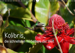 Kolibris, die schnellsten Wirbeltiere der Welt (Wandkalender 2023 DIN A3 quer) von M.Polok