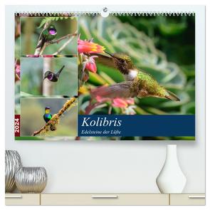 Kolibris – Edelsteine der Lüfte (hochwertiger Premium Wandkalender 2024 DIN A2 quer), Kunstdruck in Hochglanz von Woehlke,  Juergen
