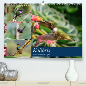 Kolibris – Edelsteine der Lüfte (Premium, hochwertiger DIN A2 Wandkalender 2022, Kunstdruck in Hochglanz) von Woehlke,  Juergen