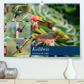 Kolibris – Edelsteine der Lüfte (Premium, hochwertiger DIN A2 Wandkalender 2023, Kunstdruck in Hochglanz) von Woehlke,  Juergen