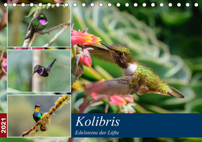 Kolibris – Edelsteine der Lüfte (Tischkalender 2021 DIN A5 quer) von Woehlke,  Juergen
