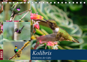 Kolibris – Edelsteine der Lüfte (Tischkalender 2023 DIN A5 quer) von Woehlke,  Juergen