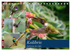 Kolibris – Edelsteine der Lüfte (Tischkalender 2024 DIN A5 quer), CALVENDO Monatskalender von Woehlke,  Juergen
