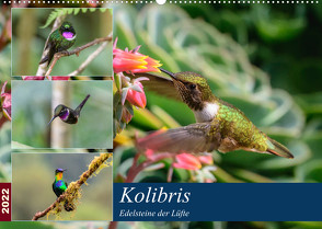 Kolibris – Edelsteine der Lüfte (Wandkalender 2022 DIN A2 quer) von Woehlke,  Juergen