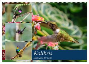 Kolibris – Edelsteine der Lüfte (Wandkalender 2024 DIN A2 quer), CALVENDO Monatskalender von Woehlke,  Juergen