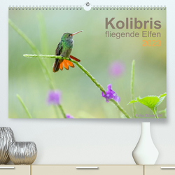 Kolibris – fliegende Elfen (Premium, hochwertiger DIN A2 Wandkalender 2023, Kunstdruck in Hochglanz) von Düsterhöft,  Falko