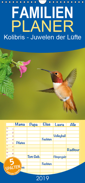 Kolibris – Juwelen der Lüfte – Familienplaner hoch (Wandkalender 2019 , 21 cm x 45 cm, hoch) von birdimagency,  BIA