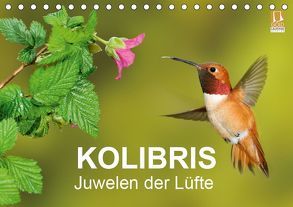 Kolibris – Juwelen der Lüfte (Tischkalender 2019 DIN A5 quer) von birdimagency,  BIA