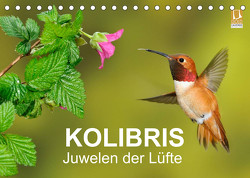 Kolibris – Juwelen der Lüfte (Tischkalender 2023 DIN A5 quer) von birdimagency,  BIA