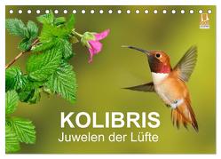 Kolibris – Juwelen der Lüfte (Tischkalender 2024 DIN A5 quer), CALVENDO Monatskalender von birdimagency,  BIA